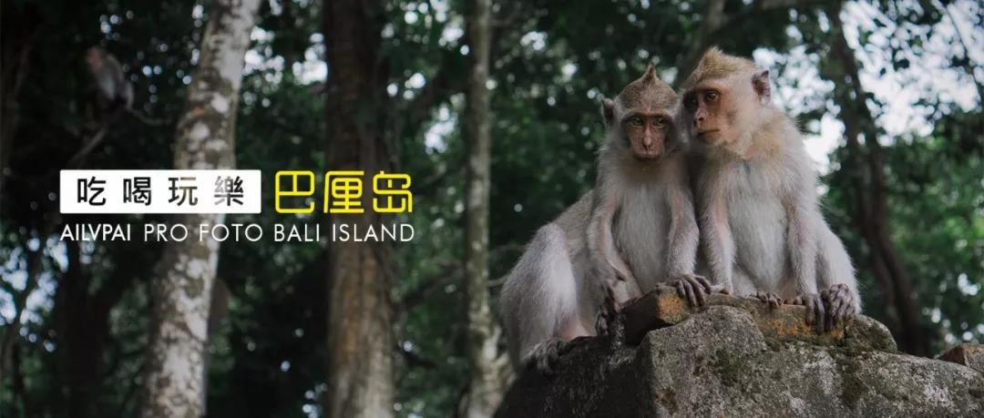 爱旅拍-巴厘岛蜜月|旅行|婚礼|婚拍|一站式服务|